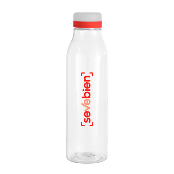 Botella "ANDINA FROST"